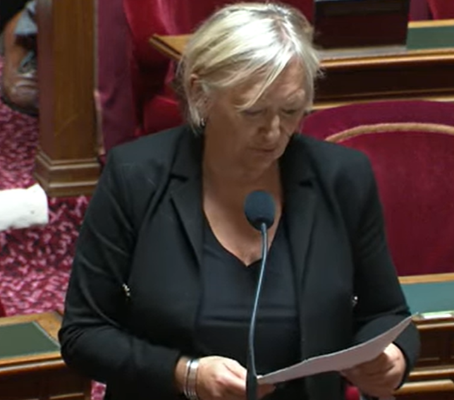 Débat sur l’intelligence artificielle – 28 avril 2025