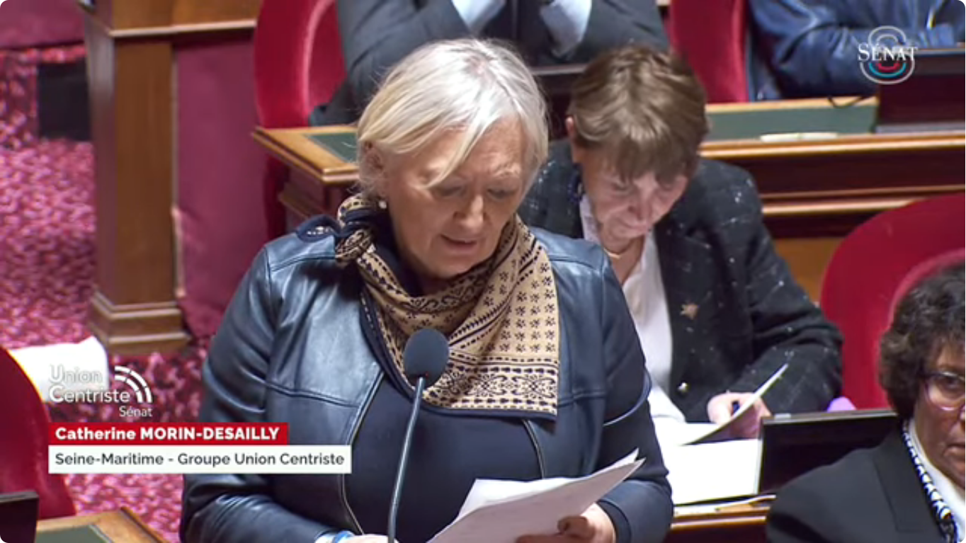 Au Sénat | Question au gouvernement : « Quelles réponses aux cyberattaques ? »
