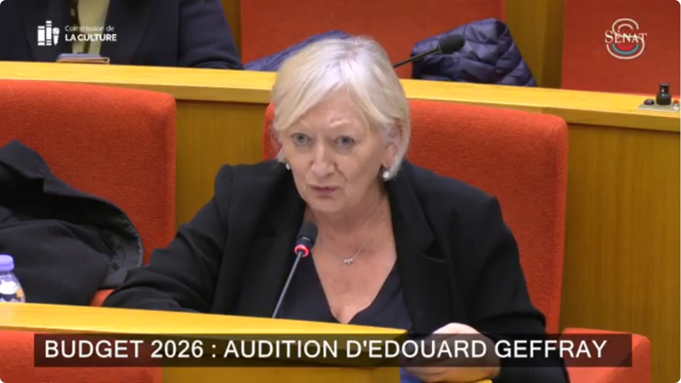 Audition du ministre de l’Éducation nationale au Sénat