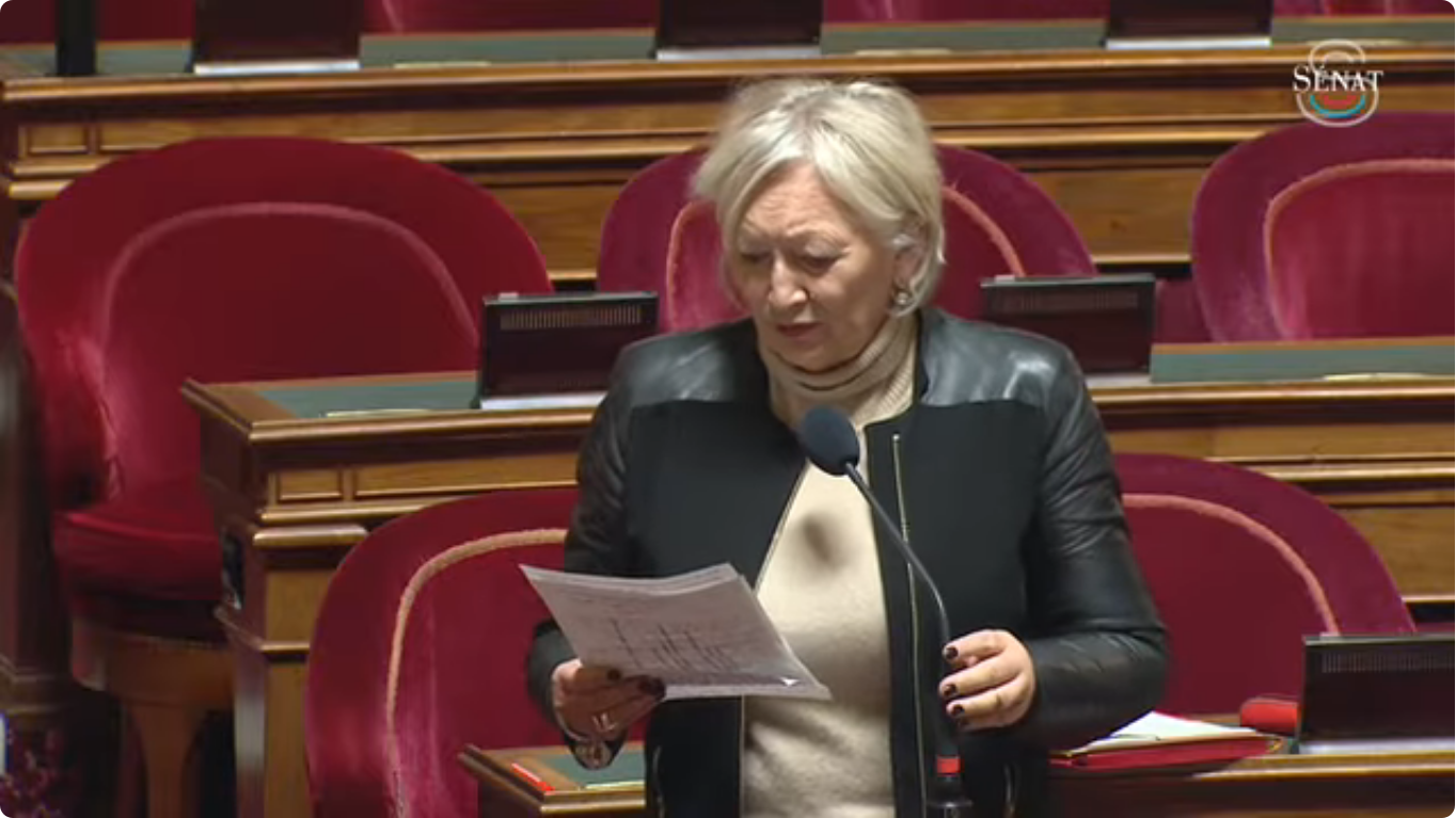 L&rsquo;accès à la culture dans les territoires ruraux en débat au Sénat