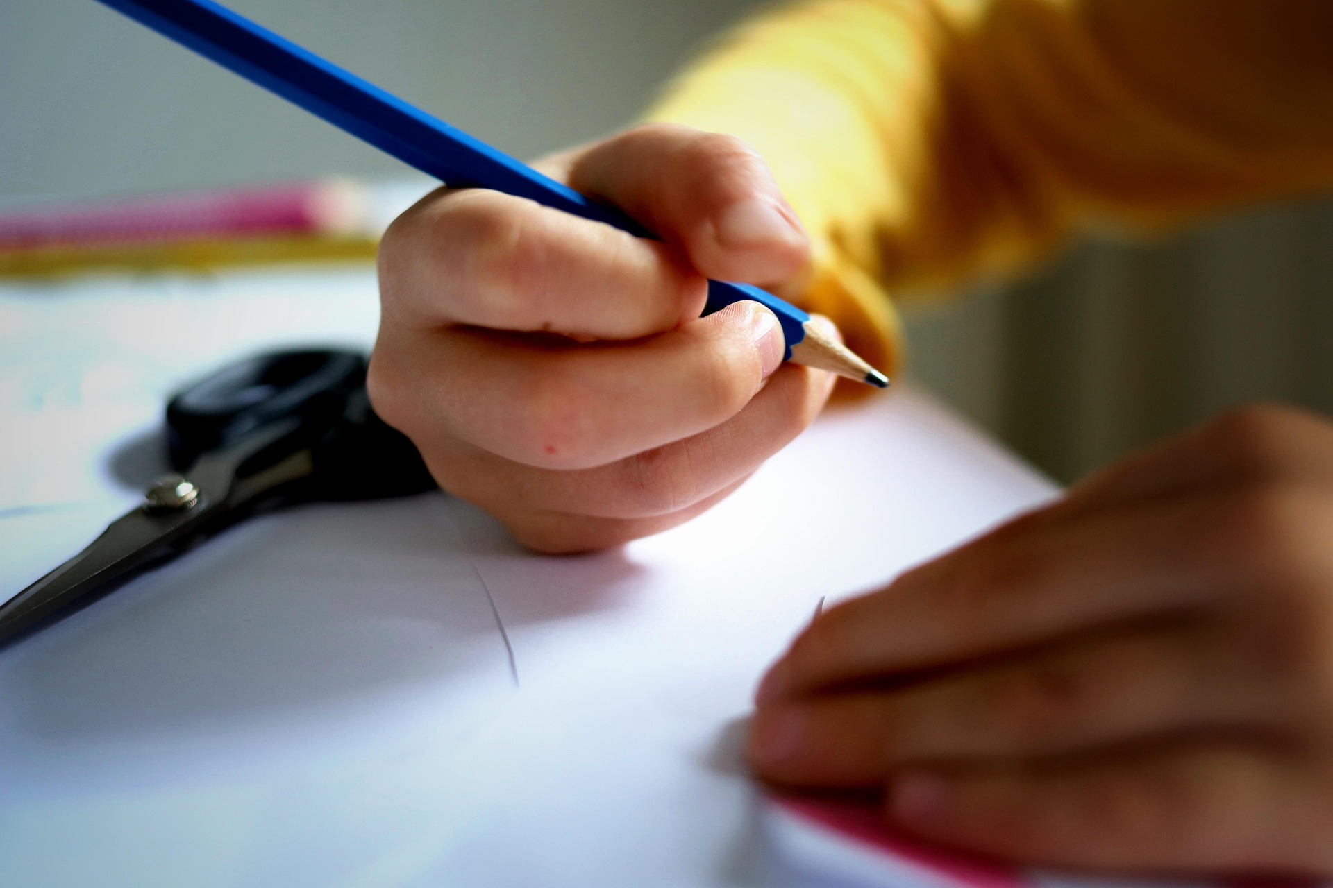Question écrite – Financement de la mise à disposition de l’accompagnant d’élève en situation de handicap sur le temps méridien dans une école privée – 8 décembre 2022